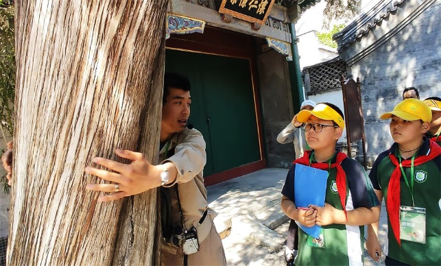 image8.png image8.png